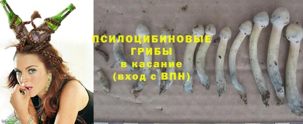 героин Инсар