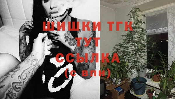 мяу мяу мука Инта