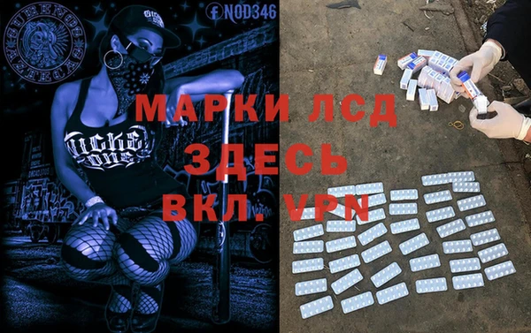 мяу мяу мука Инта