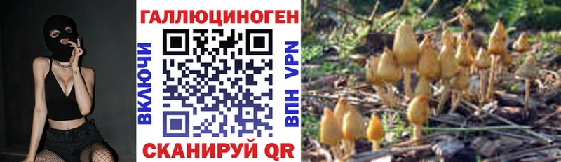 Купить закладки  Сухиничи  Псилоцибиновые грибы GOLDEN TEACHER 